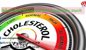 Nồng độ Cholesterol thế nào là khỏe mạnh?